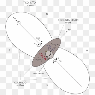 Schematic Cartoon Of The Main Components In The Molecular - Illustration, HD Png Download