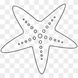 Sea Star Transparent Background Png - V Corps, Png Download - 1100x1100 