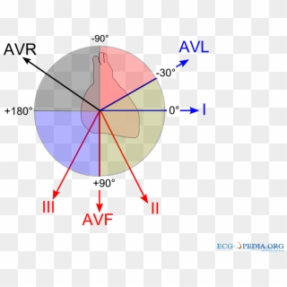 Ecg Vectors - Axis Of The Heart, HD Png Download - 800x600 (#2769508 ...