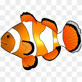 Peaceful Design Ideas Clip Art Fish Clipart Free - Clown Fish Clipart Black And White, HD Png Download