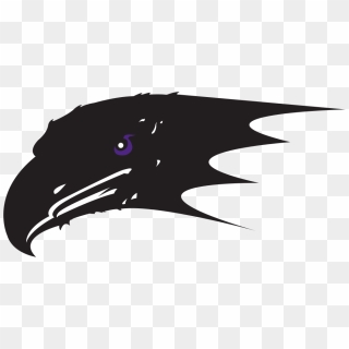 Niagara Purple Eagles Logo - Illustration, HD Png Download - 998x484 ...