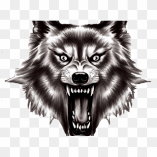 Werewolf, Fictional Character, Zombie Wolf PNG Images - FreeIconsPNG