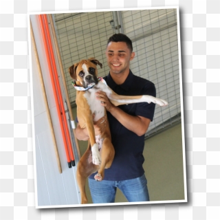 Funny Faces Dog Kennel Staff In Fresno - Boxer, HD Png Download