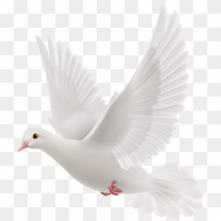 White Dove Clipart Dove Open Wing - Clip Art White Dove, HD Png ...