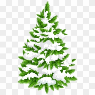 Snowy Pine Tree Png Clip Art Image - Tree Png Clipart Transparent Pine Tree, Png Download