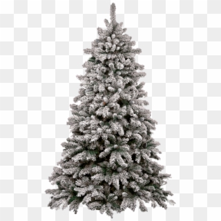 Snow Pine Tree Png - Snowy Christmas Tree Png, Transparent Png