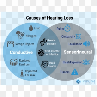 Causes Of Hearing Loss - Sensorineural Hearing Loss Causes, HD Png ...