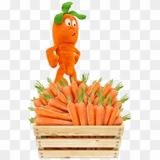 cathy the carrot