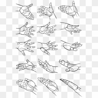 Drawing Photoshop Human Hand, HD Png Download - 1394x1305 (#4805668 ...