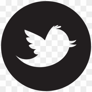 Twitter Icon White Png Twitter Circle Icon Png White Transparent Png 1999x00 Pinpng