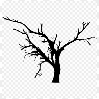 Simple Bare Tree Silhouette Png - Bare Tree Tree Png Silhouette ...