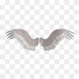 Alas Vector Png Png - Wings For Editing Png, Transparent Png - 1569x569 ...