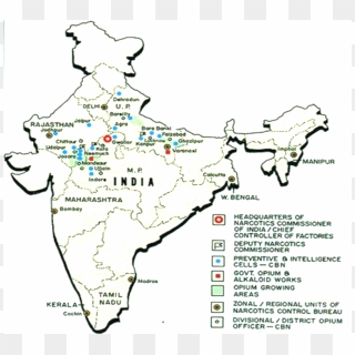 Opium Production In India - Opium Cultivation In India, HD Png Download ...