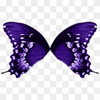 6 Png, Fairy And Butterfly - Fairy Wings Png Side View, Transparent Png ...