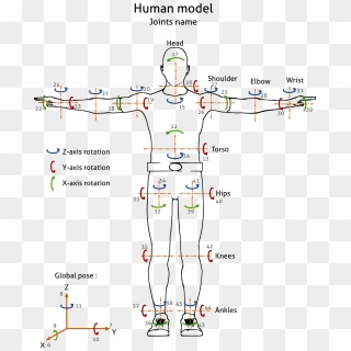 Configuration Parameters For Human Posture ¶ - Human Joints, HD Png ...