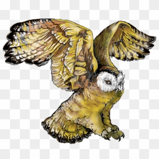 Gallery For Owl On Branch Clipart - Transparent Png Owl Clipart, Png ...