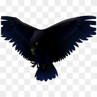 Free Clipart - Raven Clipart, HD Png Download - 800x611 (#1471015) - PinPng