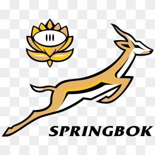 Go Bokke - Springbok Logo, HD Png Download - 1280x992 (#3663064) - PinPng