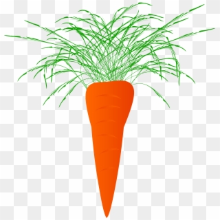 Carrots Png Clipart - Carrot Clip Art Png, Transparent Png - 1857x1108 ...