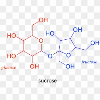 Oligosaccharides And Polysaccharides Are Longer Polymers - Delphinidin ...