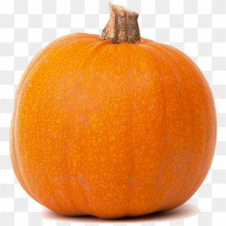 Pumpkin Png Images Transparent Free Download - Pumpkin Meaning In Tamil ...