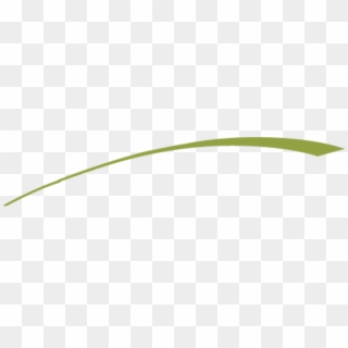 Leaf Plant Stem Close - Underline Swoosh, HD Png Download - 1965x449 ...