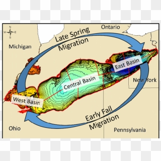 Depth Contour Map Of Lake Erie - 397 3972026 Depth Contour Map Of Lake Erie With Jurisdictions