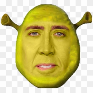 Shrek Face Png Nicolas Cage Transparent Png 1024x1051