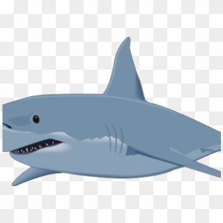 Bull Shark Clipart Realistic Shark - Great White Shark Without ...