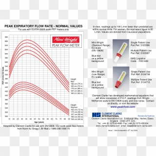 Peak Expiratory Flow Chart How To Create A Peak Expiratory - Peak ...