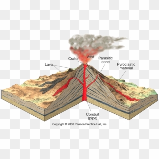 Cross-section Of Hop Cone - Hop Cross Section, HD Png Download ...