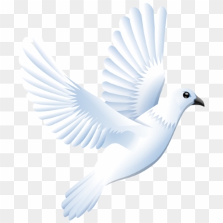 White Dove Png Clipart 70 Bird - Message Dove, Transparent Png ...