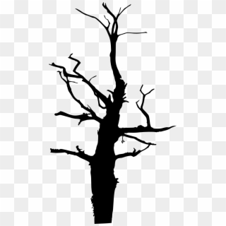 Dead Tree Silhouette Png, Transparent Png - 481x707 (#7552) - PinPng