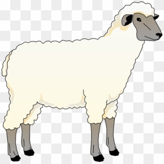 Serta Sheep Png - Serta Sheep Sleeping, Transparent Png - 1175x409 ...