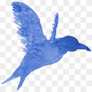 Blue Bird Line Art PNG Transparent Images Free Download, Vector Files