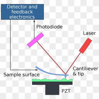 Atomic Force Microscopy 원리, HD Png Download - 1200x1163 (#4642675) - PinPng