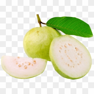 Guava Clipart Cayenne - Guava Fruit, HD Png Download - 1024x1024 ...