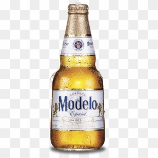 Modelo Beer, HD Png Download - 720x536 (#6761562) - PinPng