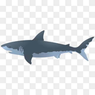 Megalodon Png Photo - Megalodon Png, Transparent Png - 863x926 (#688450 ...