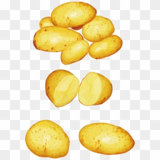 Potato Png Images - Potatoes Clipart Png, Transparent Png - 3463x2698 ...