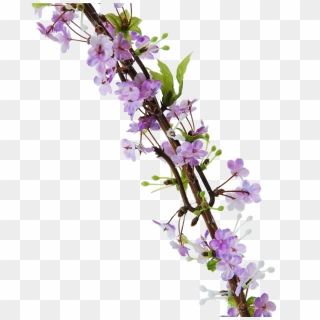 Clear Background Lavender Flower Png - The 3D Home