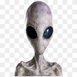 Alien Png Photo - Alien Body Png, Transparent Png - 800x817 (#577952 ...