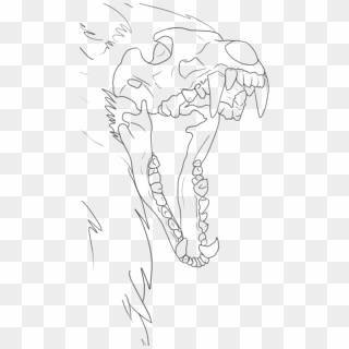 Free Png Wolf Skull Drawing Base Png Image With Transparent - Wolf ...