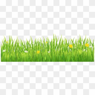 View Full Size - Grass Clipart No Background, Hd Png Download 