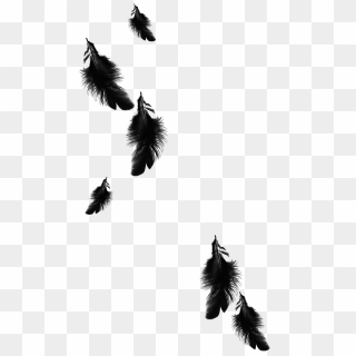 Raven Feather Png - Black Feathers Falling Png, Transparent Png