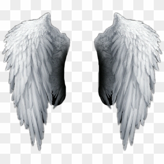 Black Wings - Black Angel Wings Png, Transparent Png - 1856x1862 ...