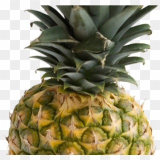 Pineapple Png Transparent Images - Pineapple Hd Quality Transparent ...