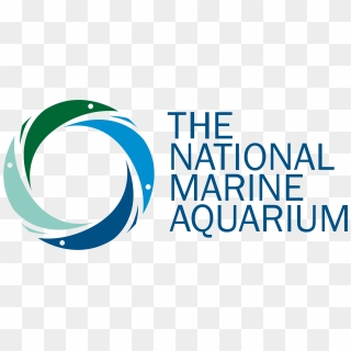 National Marine Aquarium, Plymouth, HD Png Download - 4350x1909 ...