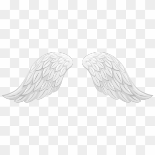 White Angel Wings Png For Kids, Transparent Png - 7925x2651 (#599688 ...