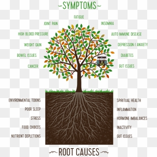 Transparent Tree Of Life With Roots - Vector Tree Root Png, Png ...